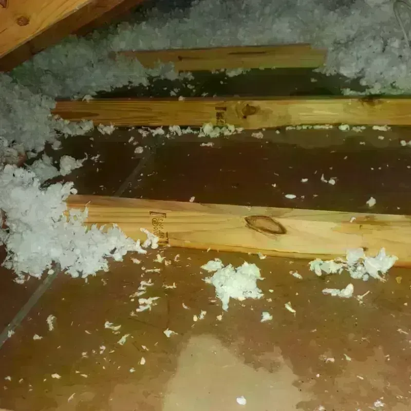 Attic Water Damage in Seabrook Farms, NJ